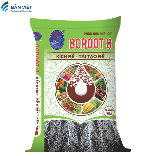 BCROOT 8 10KG XANH LÁ