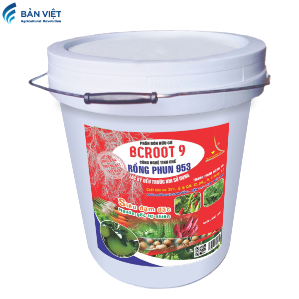 BCROOT 9 - RP953 TH