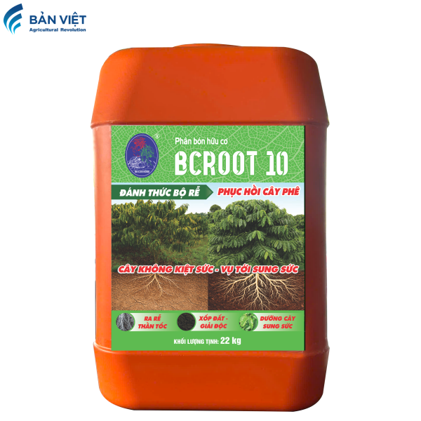 BCROOT 10 CÀ PHÊ CAN 22KG
