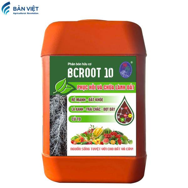 Bcroot 10 tổng hợp can